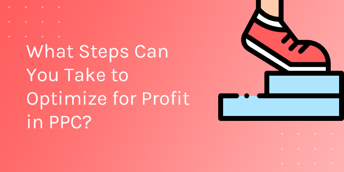 What Steps Can You Take to Optimize for Profit in PPC?