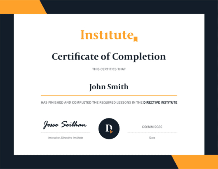 Directive Institute PPC Certification