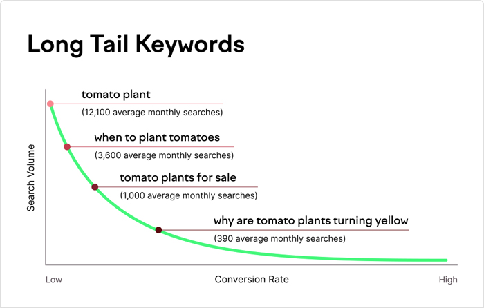 Long-Tail Keywords