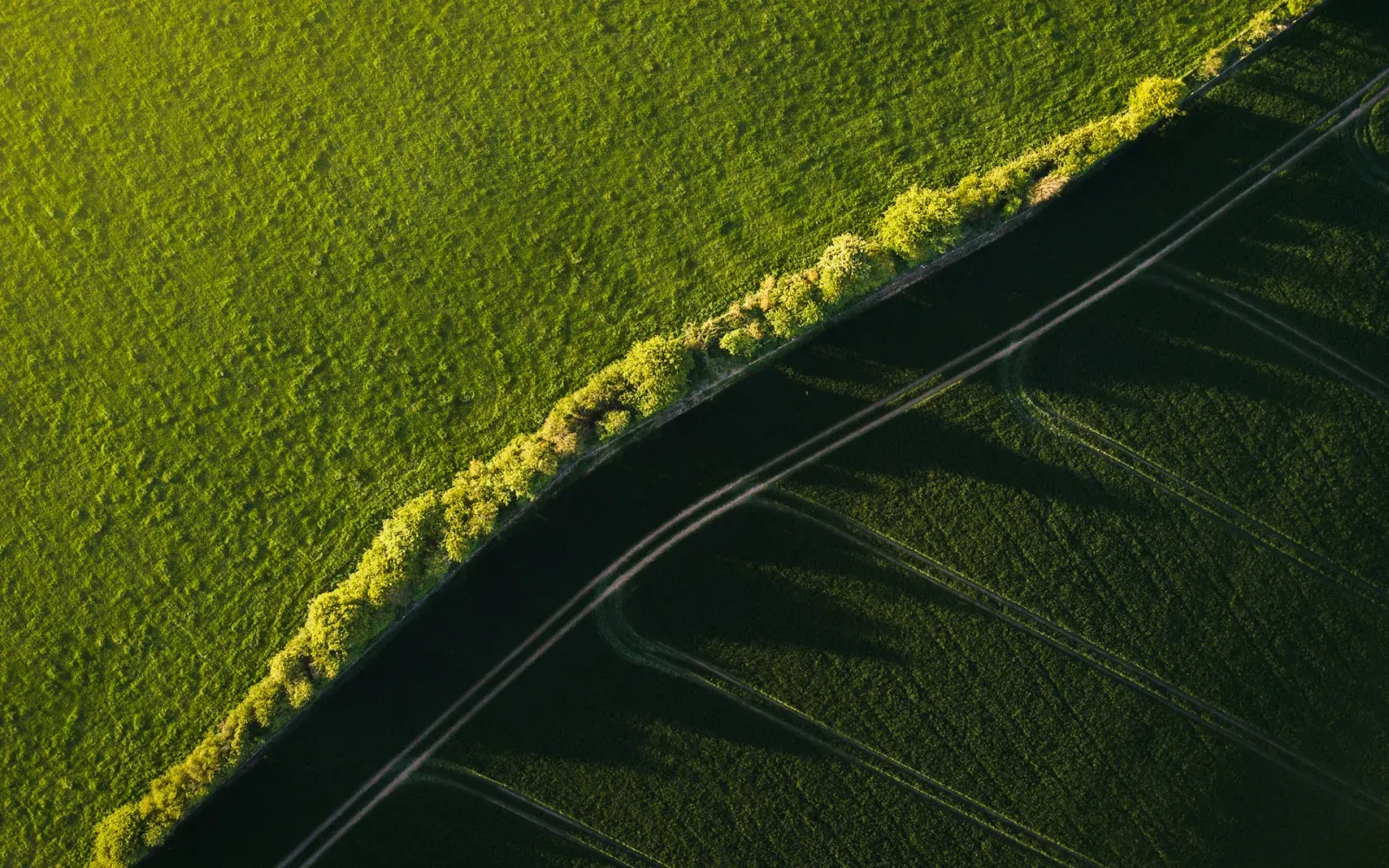 Business transformation through multi-disciplinary consulting