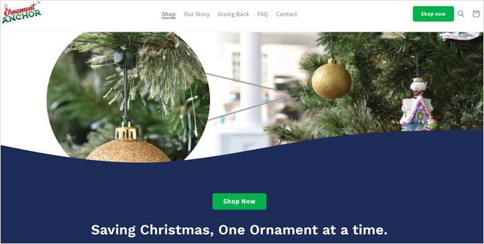 custom website