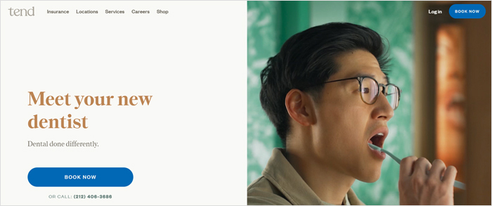 Dentists Website Design