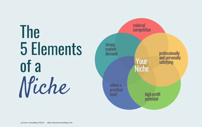 Factors to Consider When Choosing a Niche