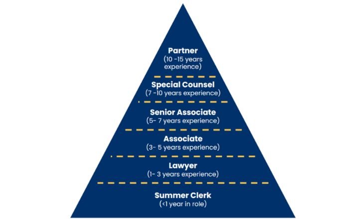 Law firm pyramid structure