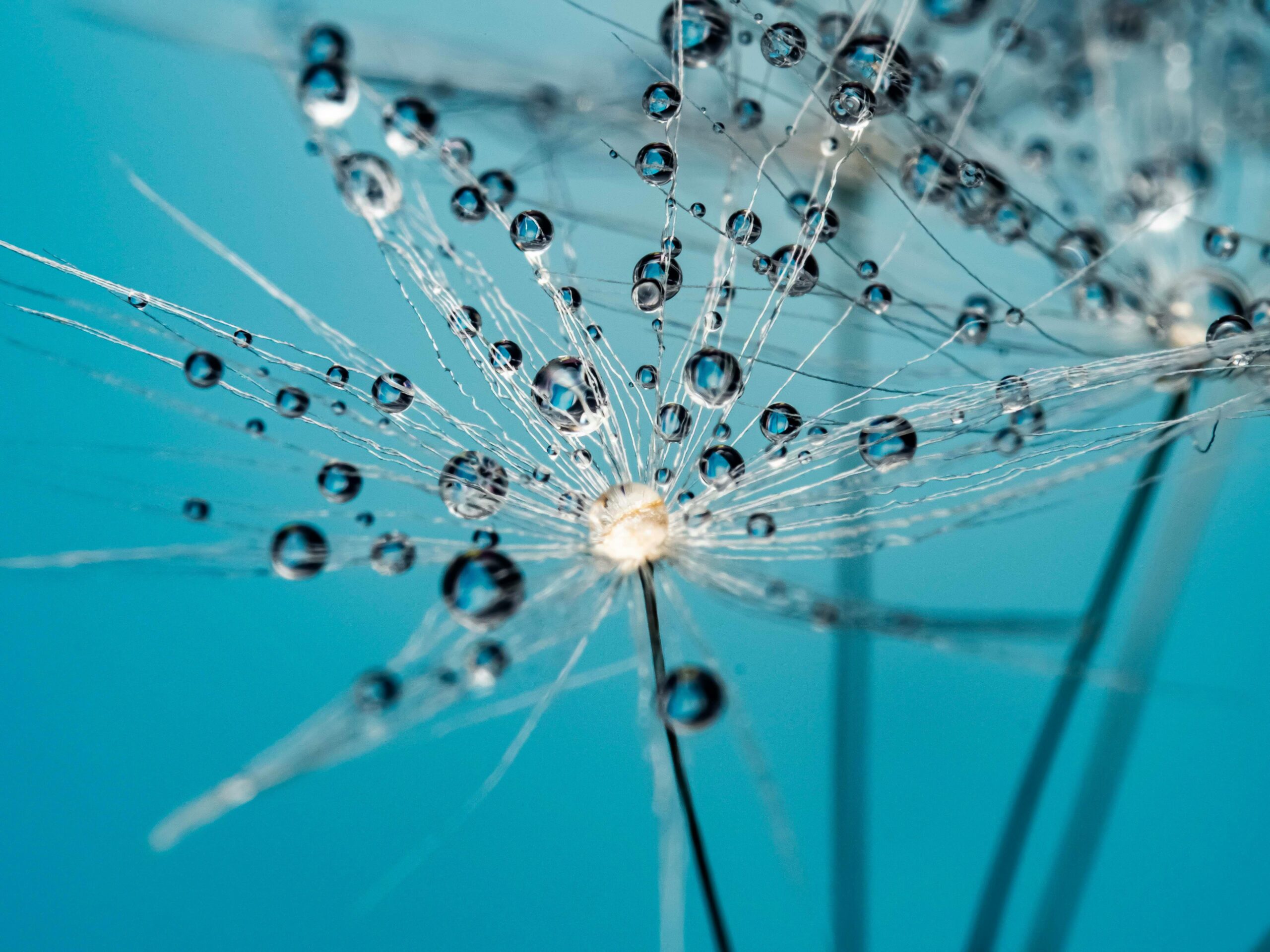 Why Open Source AI Will Win in Regulated Industries — featured image