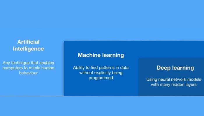 Artificial Intelligence and Machine Learning