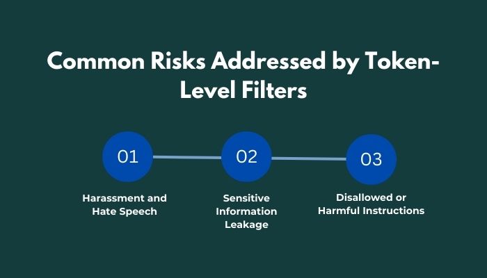 Common Risks Addressed by Token-Level Filters