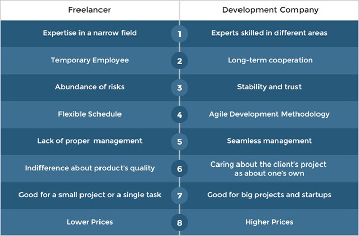 Freelancer vs Development Company