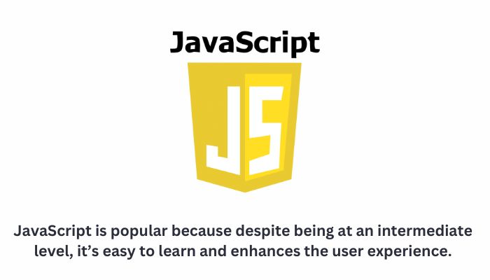 JavaScript