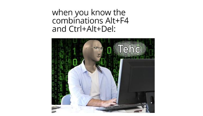 Master IT specialist meme