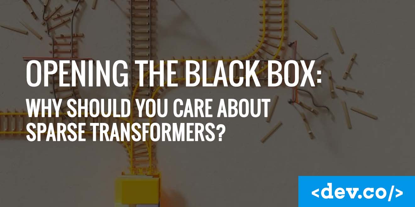 Opening the Black Box: Why Should You Care About Sparse Transformers? — featured image