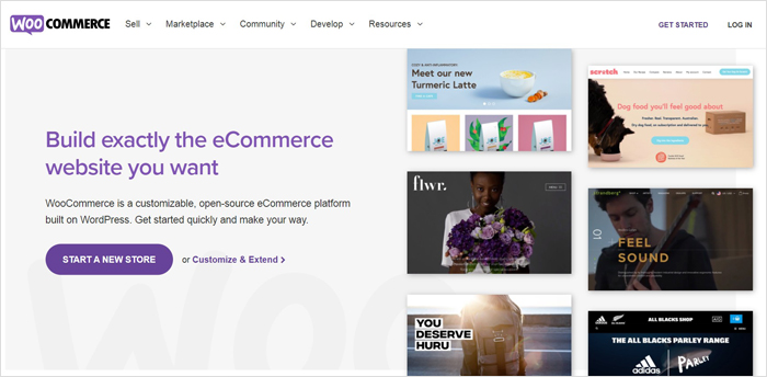 Reasons to Stay and Leave WooCommerce