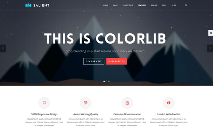 Salient WordPress Theme
