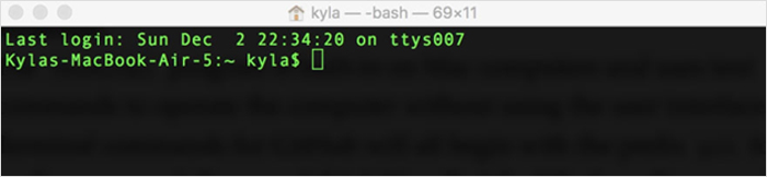 Terminal Commands