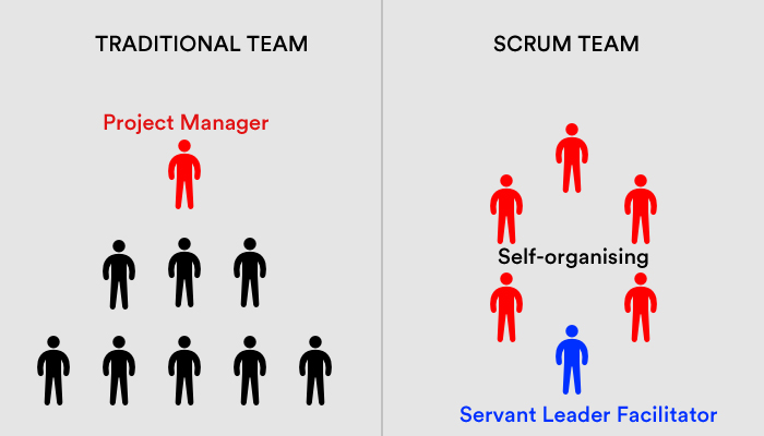 Types of Software Development Teams