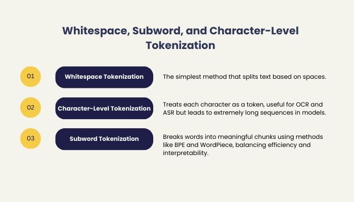 Whitespace, Subword, and Character-Level Tokenization